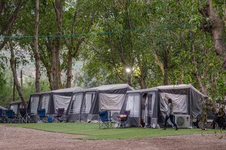 פסטיבל ספורטיבי, צילום שרון ניניו