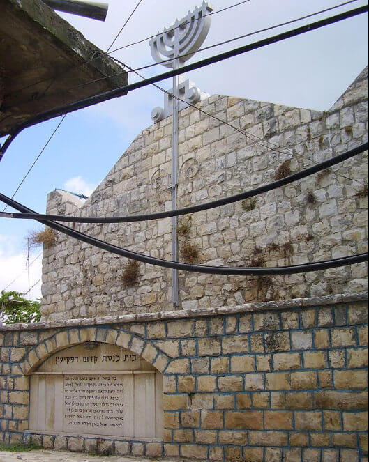 בין הכנסת הישן בפקיעין. צילום: דפנה מרוז עבור החברה להגנת הטבע