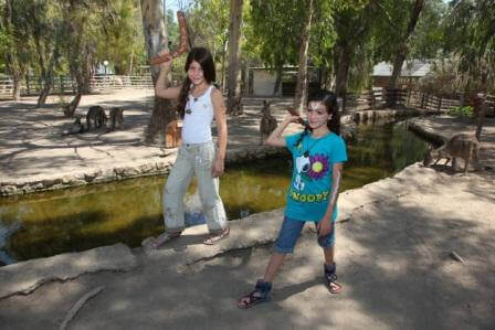 צבעוני בגן גורו ( צילום אילן לורנס)