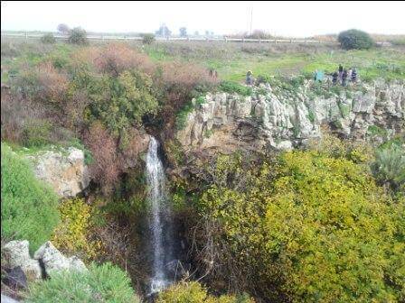 נחלים זורמים בקרבת מקום (צילום דנה נמדר)