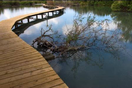 עין אפק (צילום ניסים דורון)