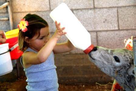 שעות האכלה קבועות