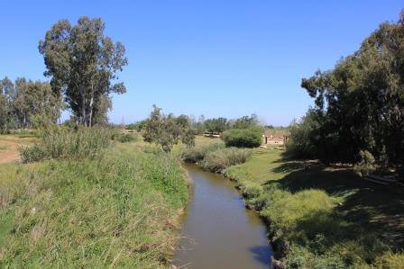 נחל אלכסנדר (צילום קורן דור)