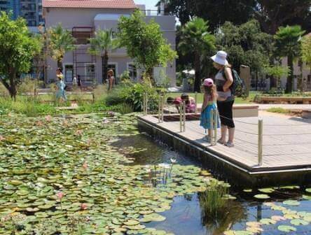 טיל אורבני בעיר (צילום רועי קופרמן)