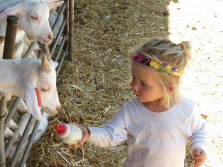 טבע עז (צילום מיכל שילוח)