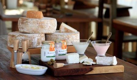 גבינות בוטיק בלב המדבר