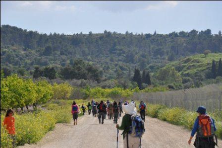 צועדים אל אוויר צלול