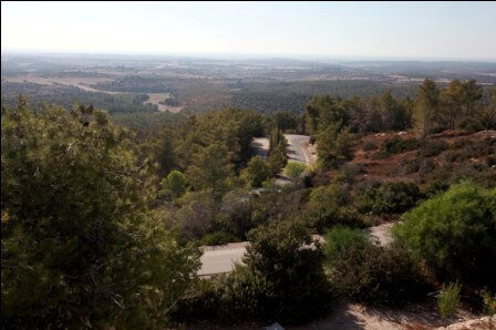 פארק בריטניה (צילום באדיבות קק"ל)