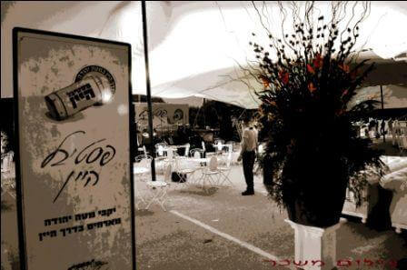 פסטיבל עם אווירה (צילום יח"צ)