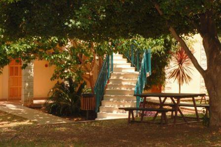 פינות ישיבה כפריות ומוצלות