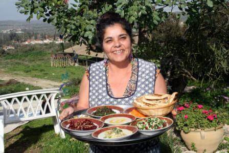 מטעמי עדות (צילום אייל להט)