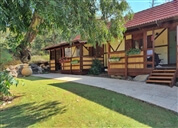 ויטראז' ההר