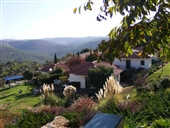 מלון שורש ירוק בהר - הרי ירושלים