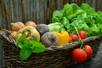 כרמלה בנחלה