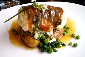 קורדיליה- ניר צוק