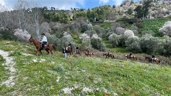 חוות סוסים נוף הרים בגליל
