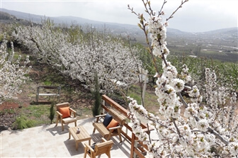 סוויטות המזרח