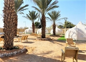 דארנא בערבה