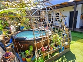 גמלא סיילנט - Gamlasilent