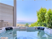 ציפור הכנרת