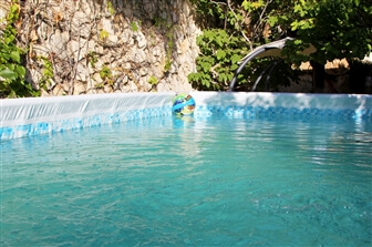 נועם המרגלית