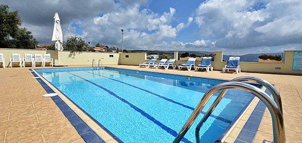 בצל עצי הזית