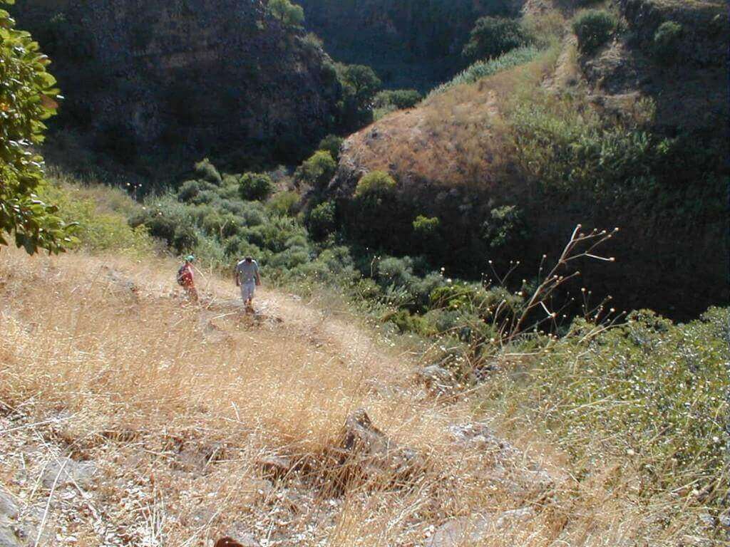 צלם: איל שפירא