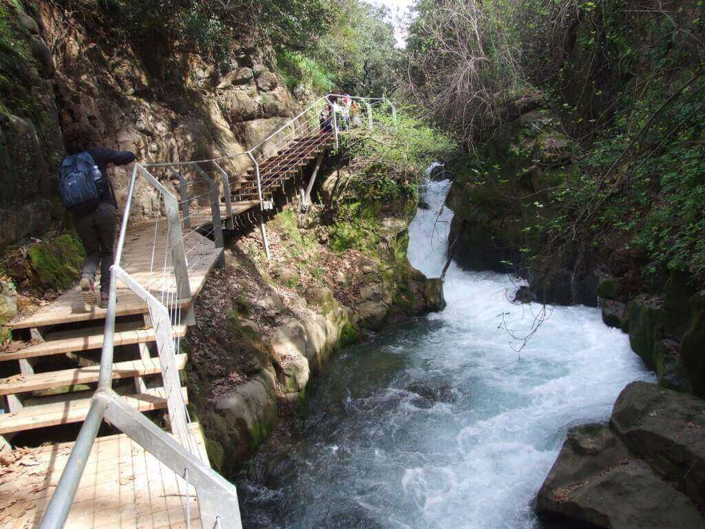 לטייל בנחלי הגולן, צילוםאייל שפירא