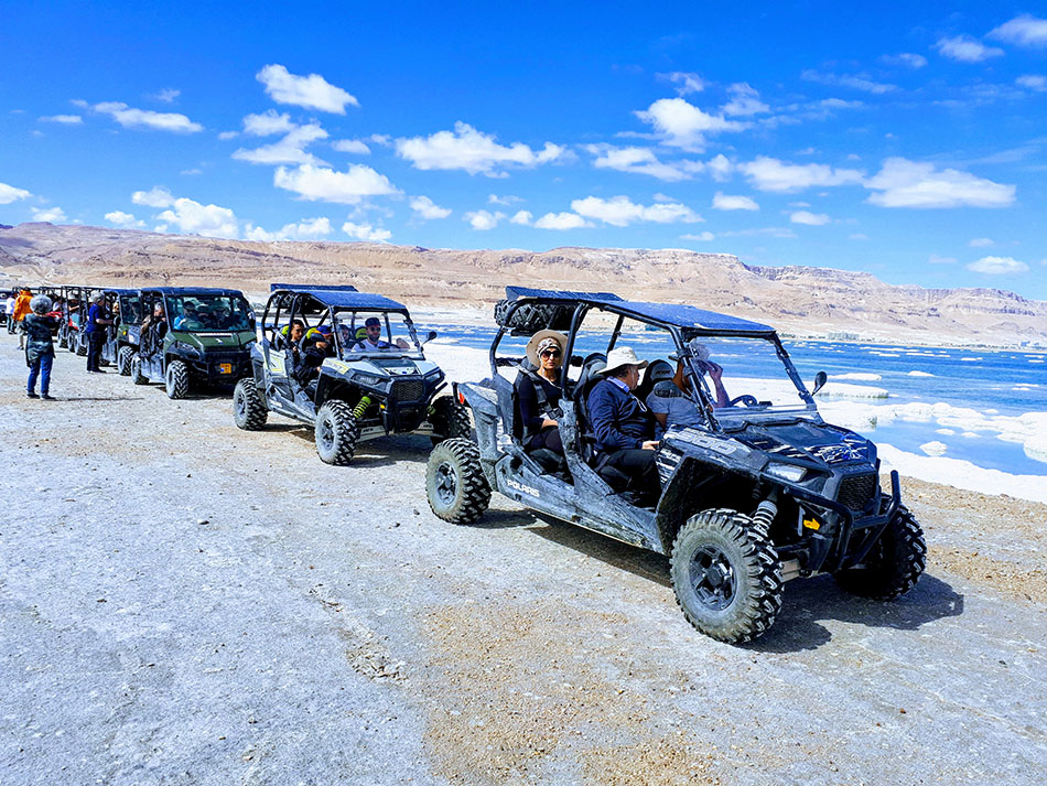  פרא המדבר – עין בוקק 