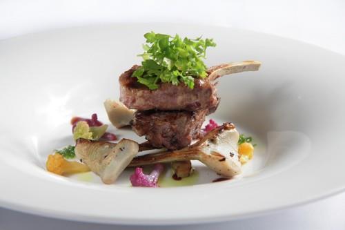 גורמה למבינים ואוהבים